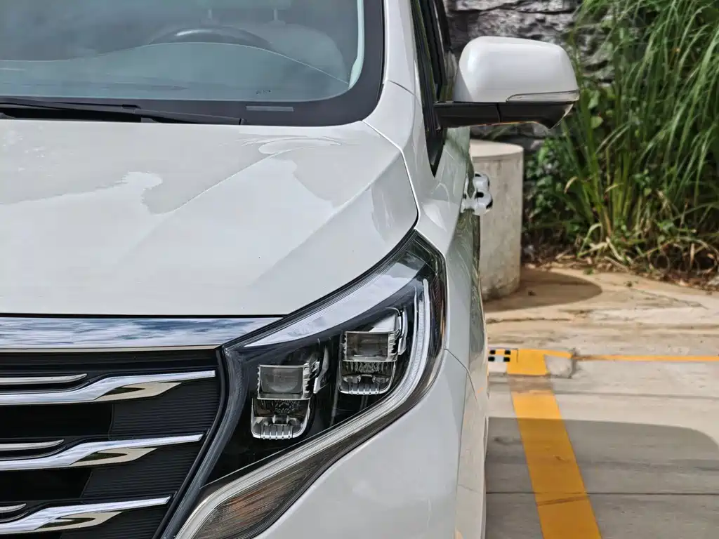 GAC Trumpchi M8 2019 — фото 11