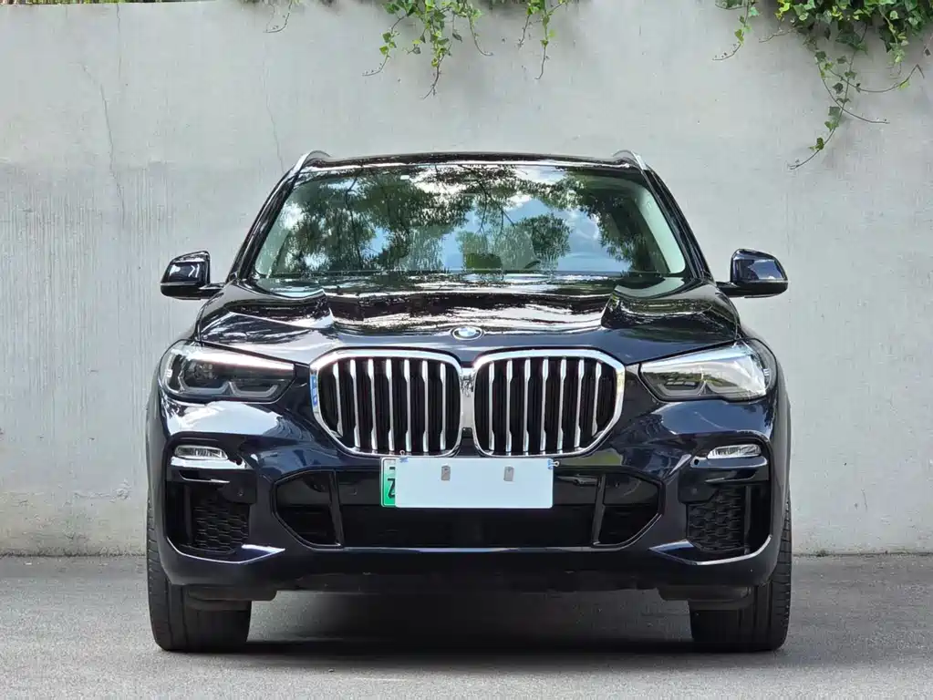 BMW X5 New Energy 2020 — фото 46
