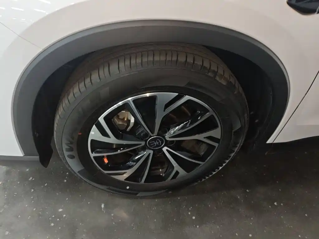 BYD Pro New Energy 2025 — фото 23
