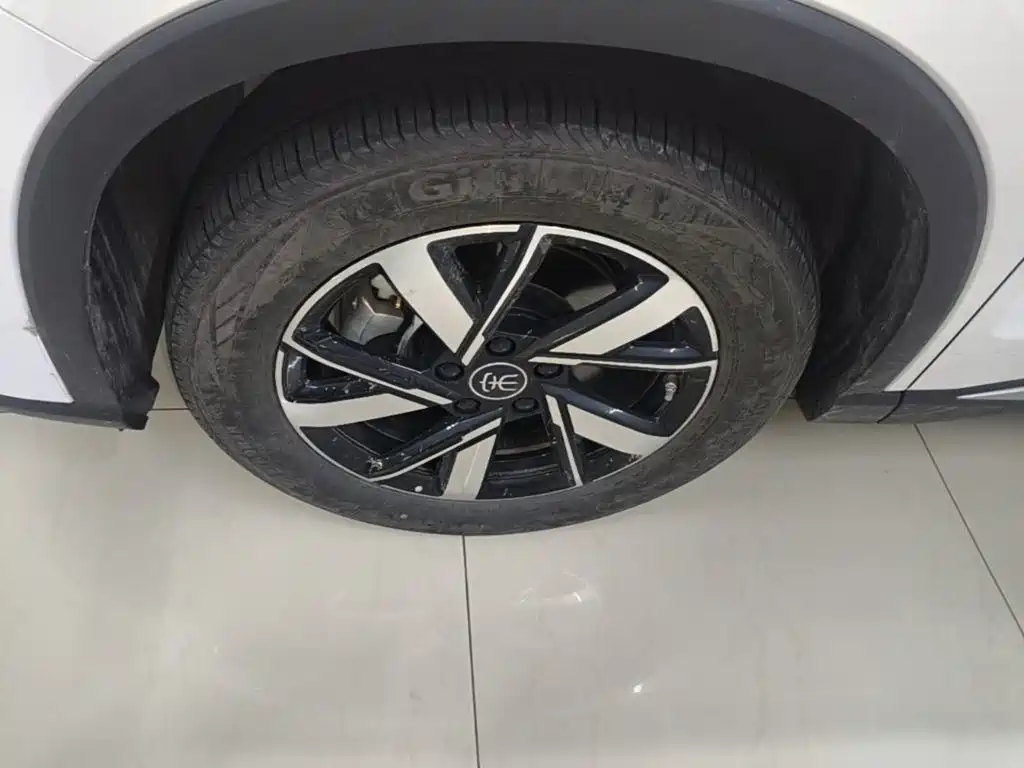 BYD Song Pro New Energy 2024 — фото 23