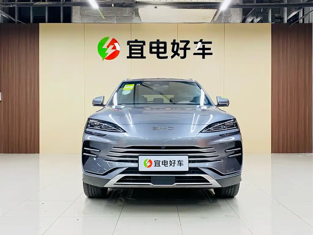 BYD PLUS New Energy 2024 — фото 2