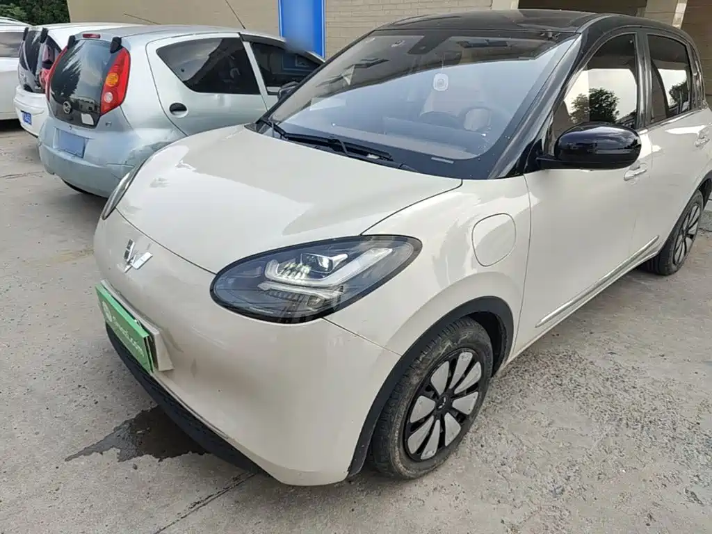 Wuling Bingo 2024