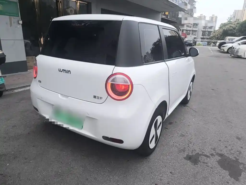 Qiyuan Lumin 2025