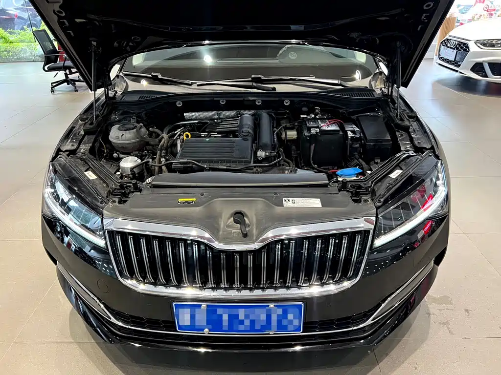 Skoda Speedy 2023 — фото 20
