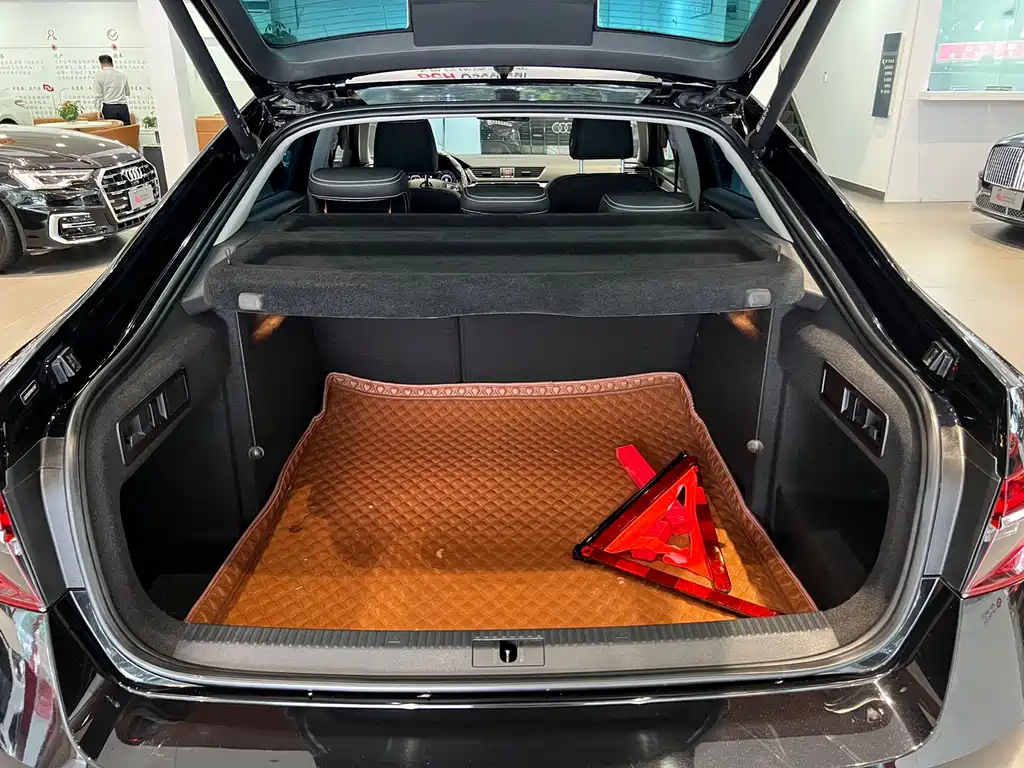 Skoda Speedy 2023 — фото 22