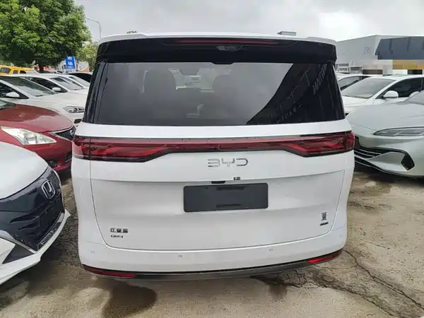 BYD Summer 2025