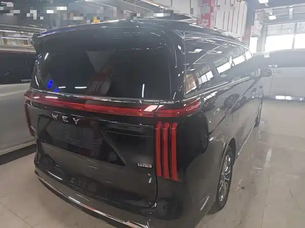 Wey Wey 2025