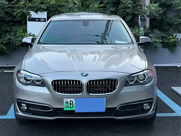 BMW 5 Series New Energy 2016