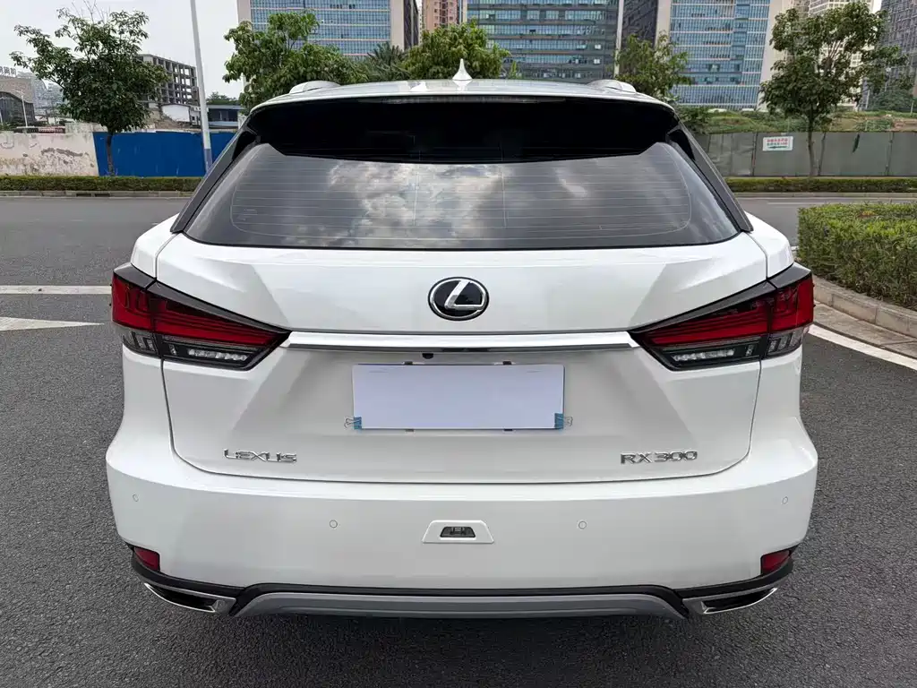 Lexus RX 2021 — фото 5