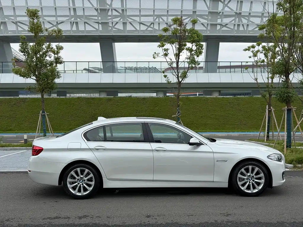 BMW 5 Series 2014 — фото 12