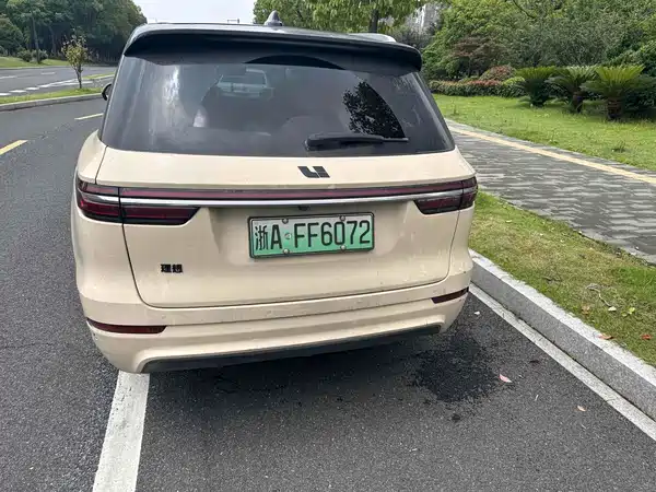 Li Auto ONE 2020