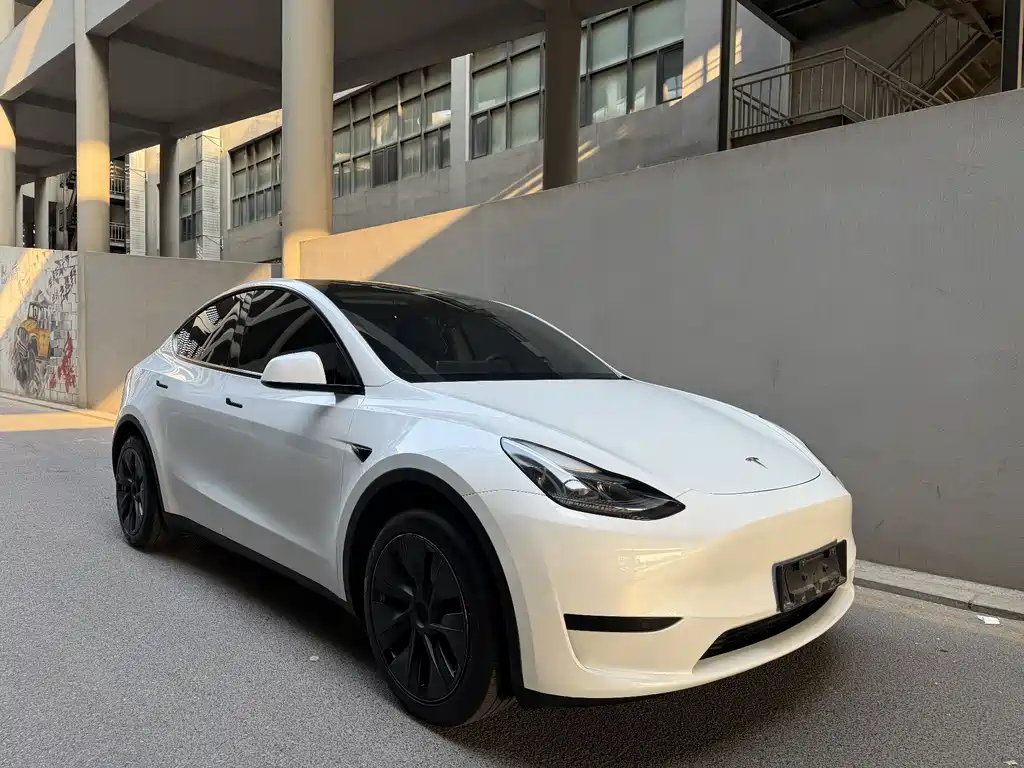 Tesla Model Y 2024 — фото 3
