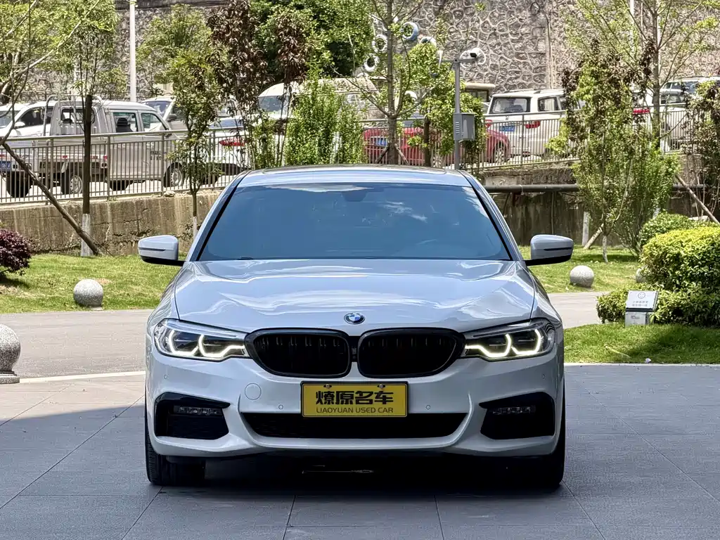 BMW 5 Series 2019 — фото 2
