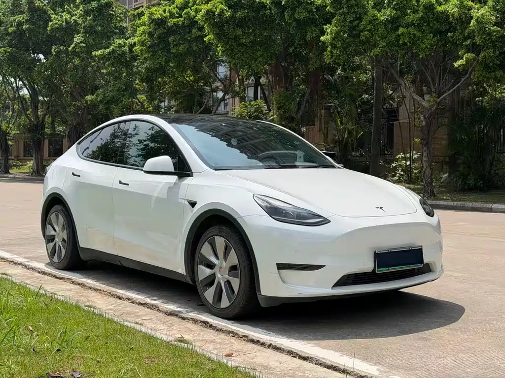 Tesla Model Y 2021 — фото 3