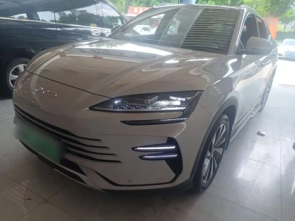 BYD PLUS New Energy 2023 — фото 2