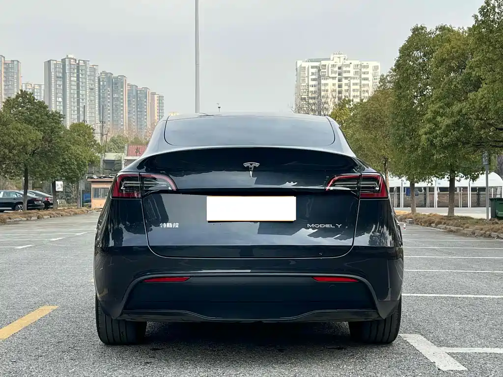 Tesla Model Y 2024 — фото 16