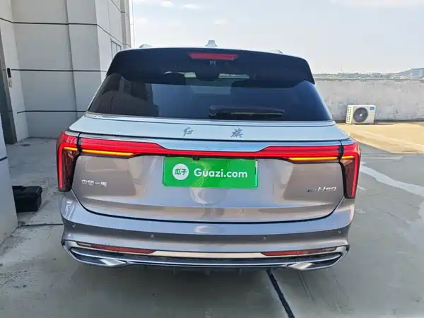 Hongqi E-HS9 2022