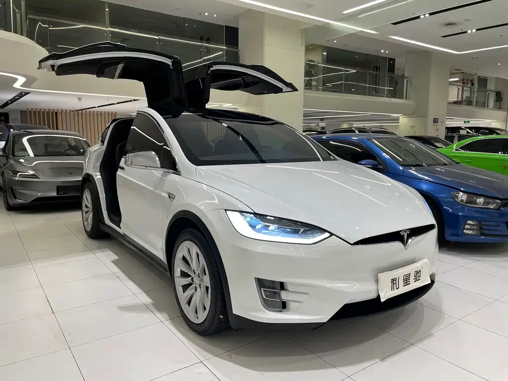 Tesla Model X 2020 — фото 2