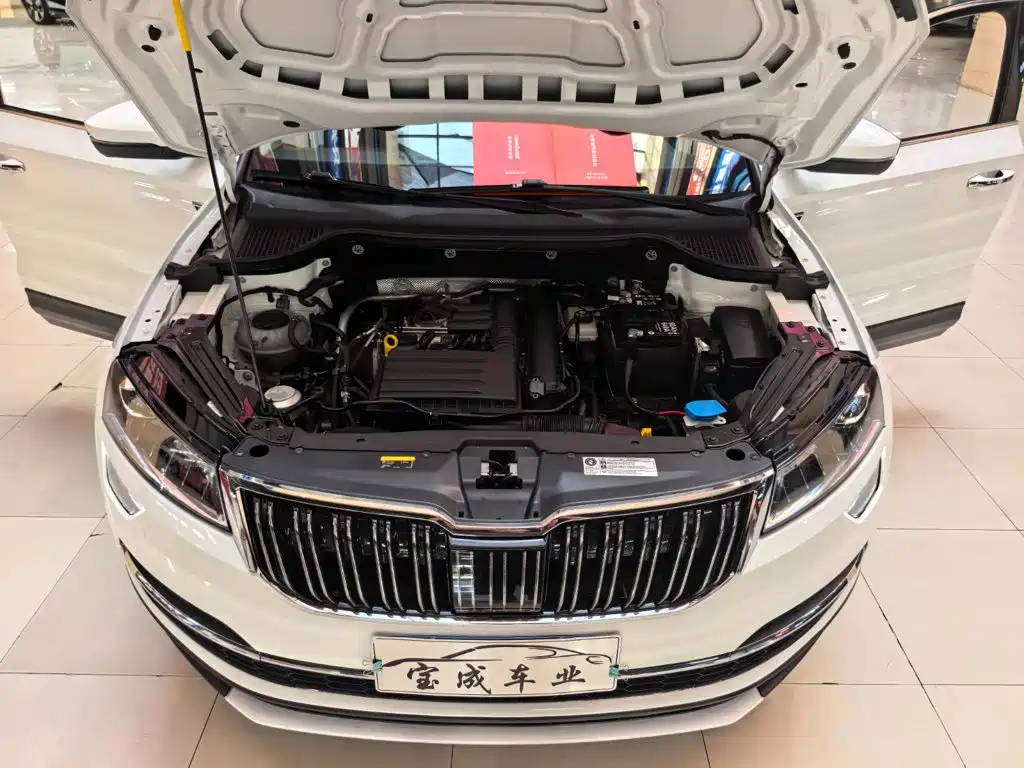 Skoda Karoq 2021 — фото 20