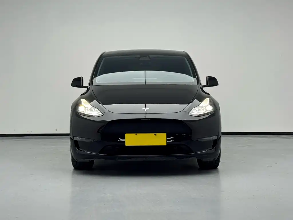 Tesla Model Y 2021 — фото 2