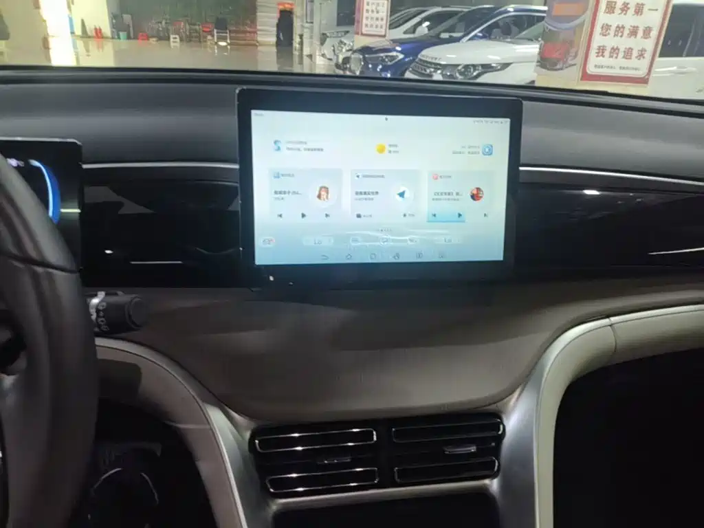BYD Song Pro New Energy 2024 — фото 13