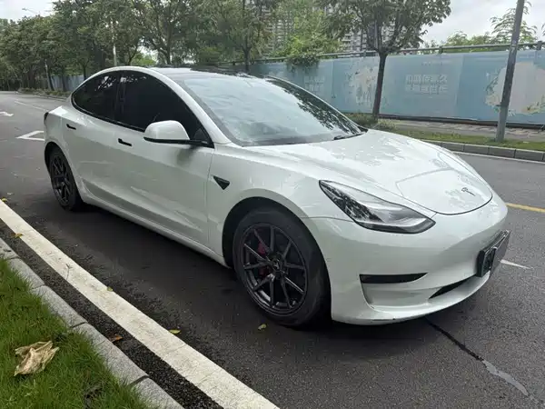 Tesla Model 3 2020
