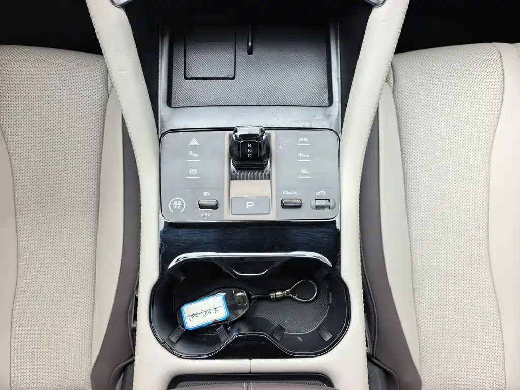 BYD Song PLUS New Energy 2024 — фото 16