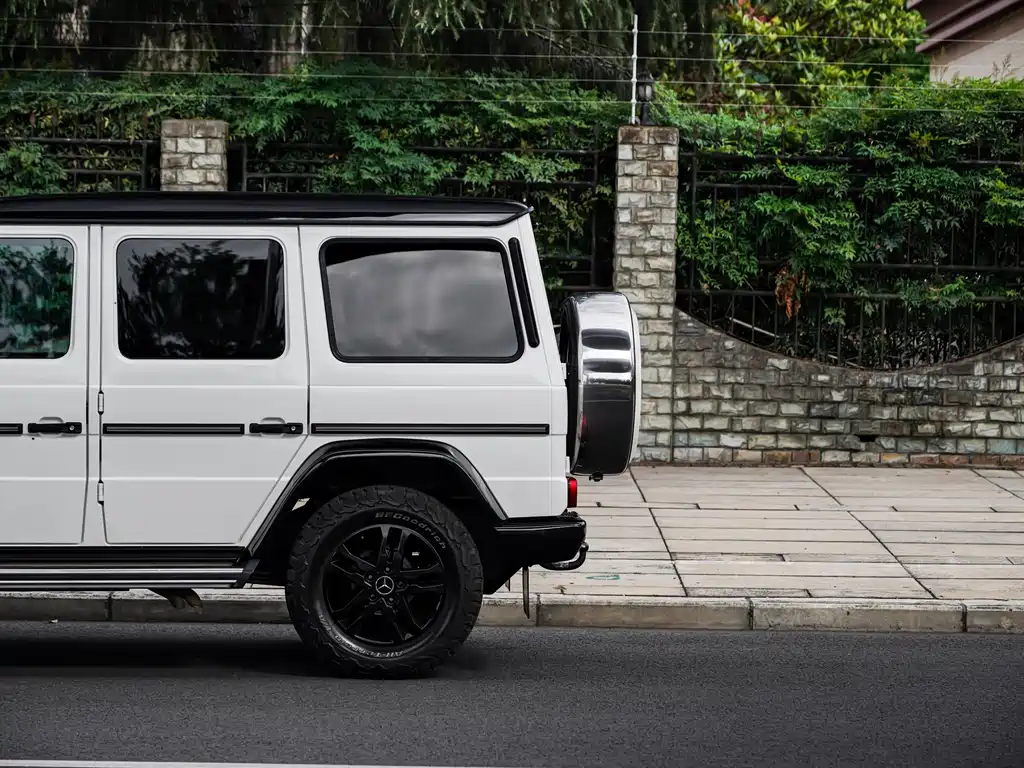 Mercedes-Benz G-Class 2016 — фото 20