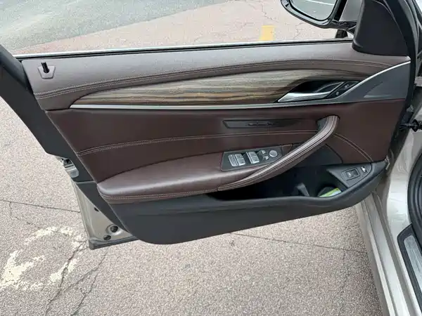 BMW 5 Series New Energy 2020
