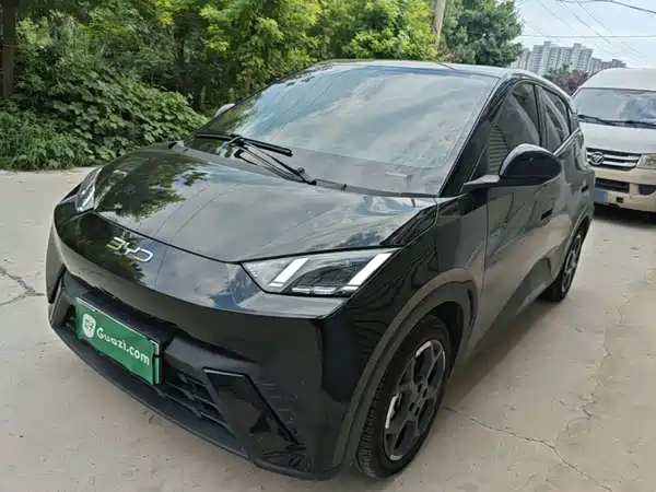 BYD Seagull 2024