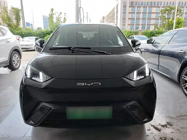 BYD Seagull 2024