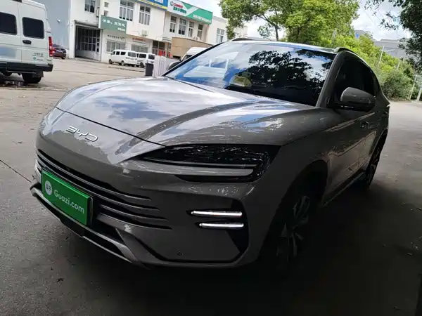 BYD Song PLUS New Energy 2024