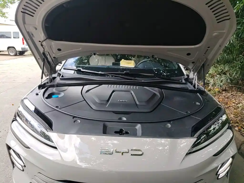 BYD Song PLUS New Energy 2024 — фото 20