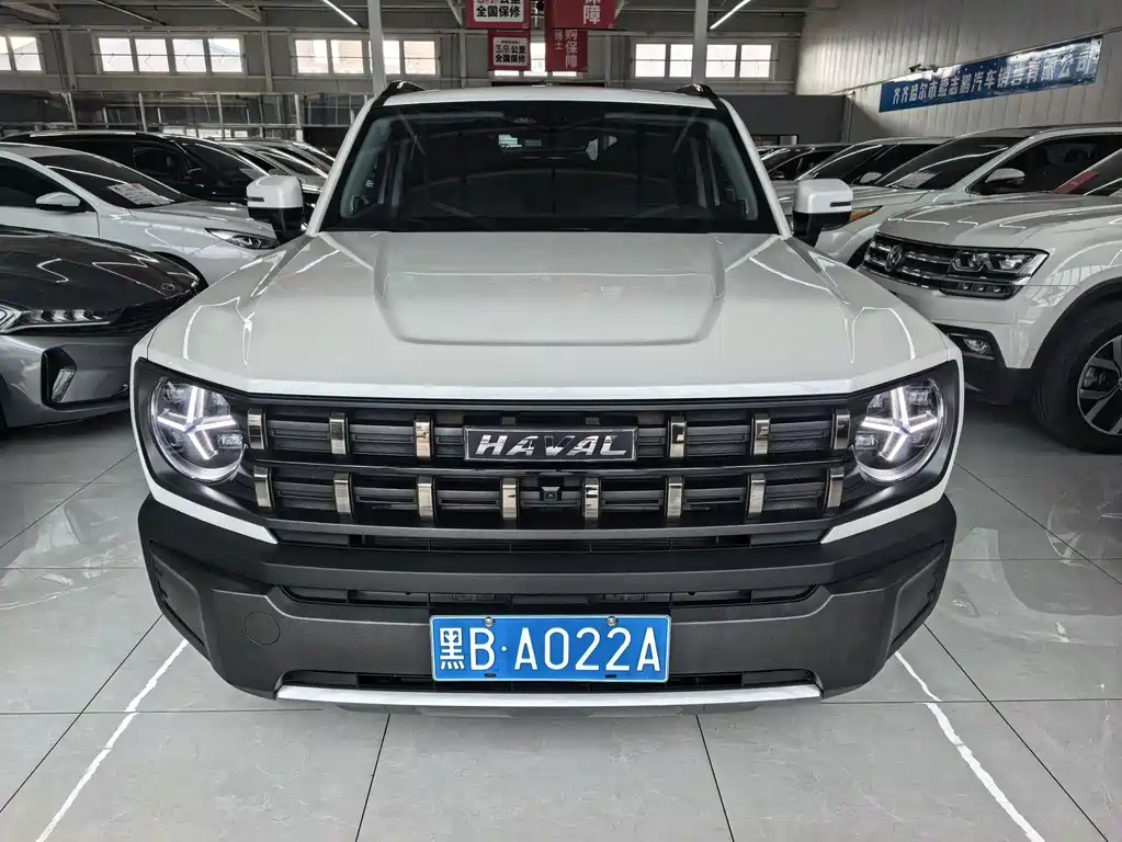 Haval Cool Dog 2023 — фото 2