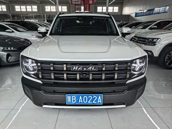 Haval Cool Dog 2023