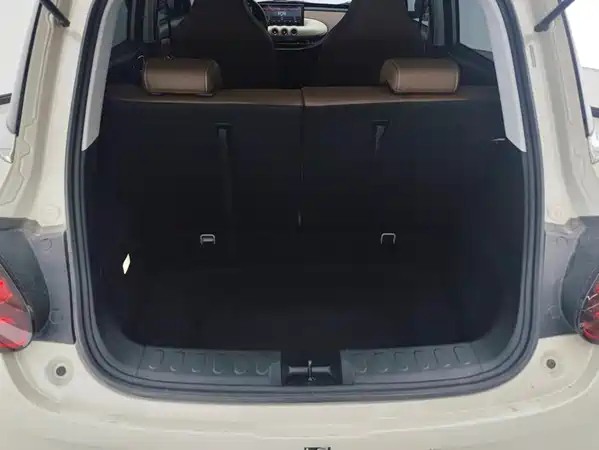 Wuling Bingo 2024