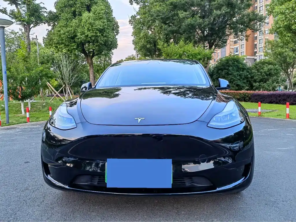 Tesla Model Y 2022 — фото 2