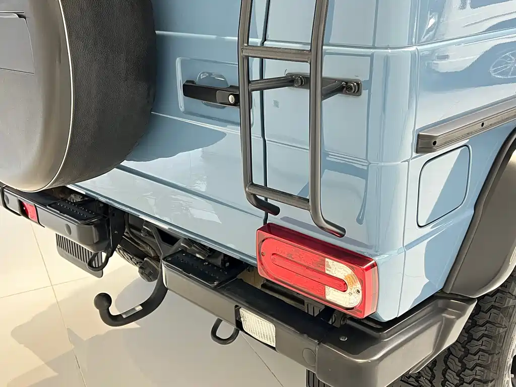 Mercedes-Benz G-Class 2016 — фото 20