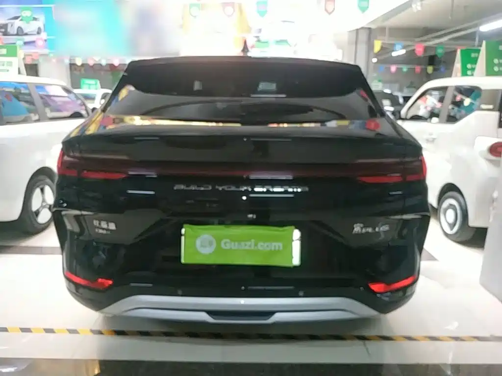BYD PLUS New Energy 2023 — фото 6