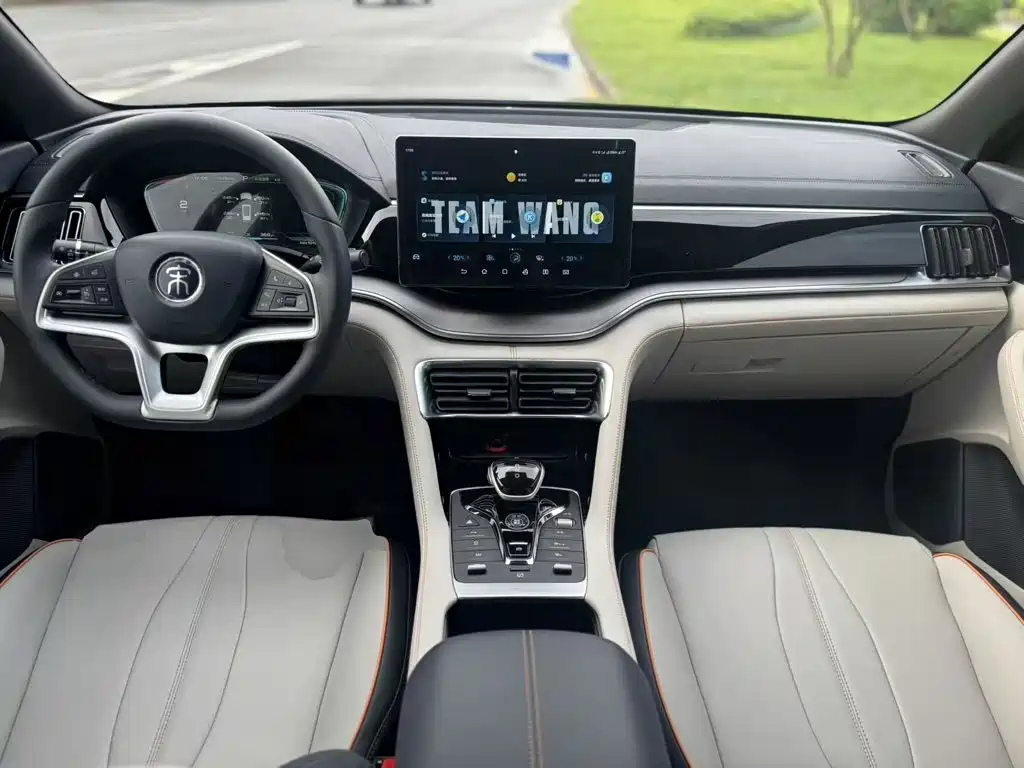 BYD Song PLUS New Energy 2021 — фото 10