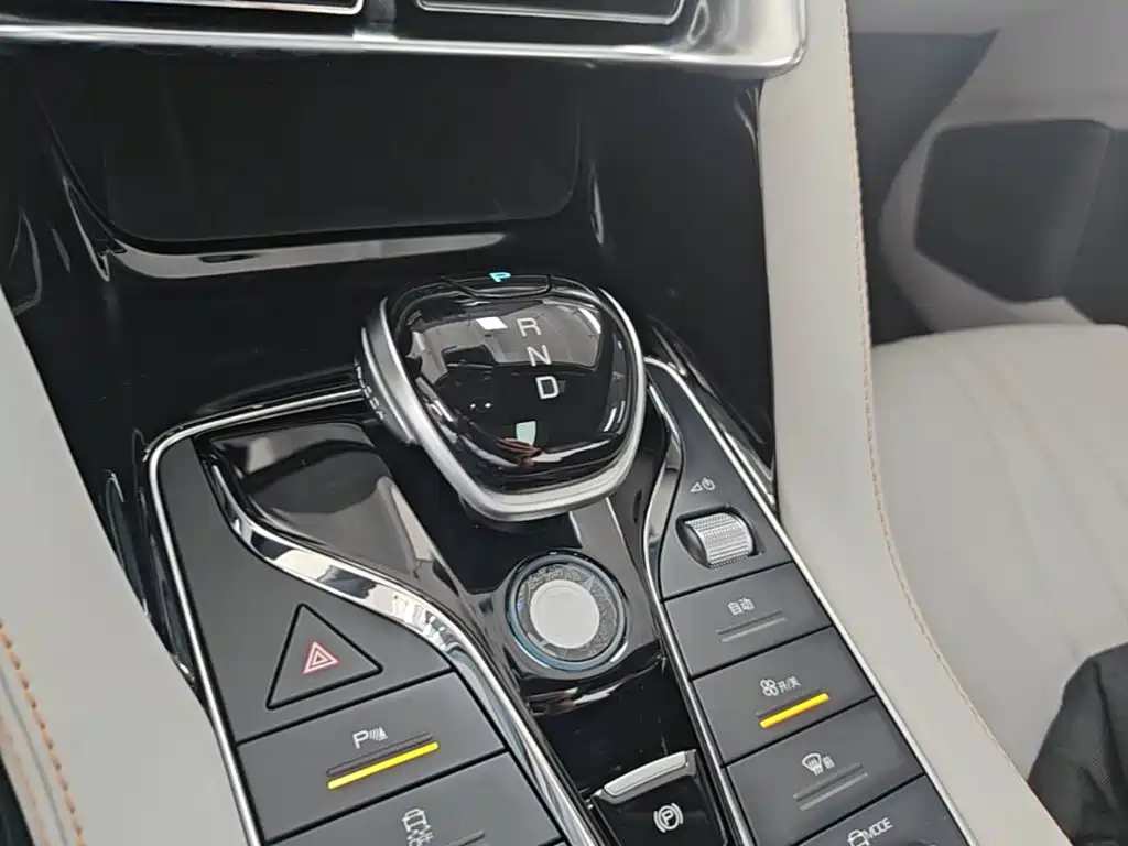 BYD Song PLUS New Energy 2021 — фото 14