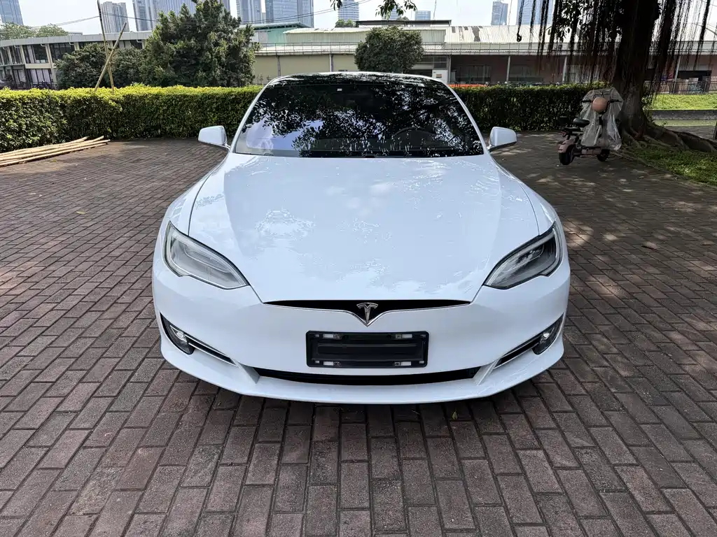Tesla Model S 2019 — фото 2