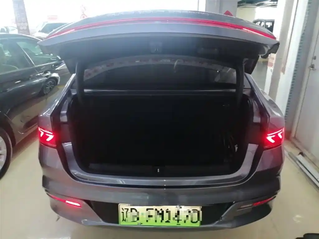 BYD Qin PLUS 2024 — фото 19