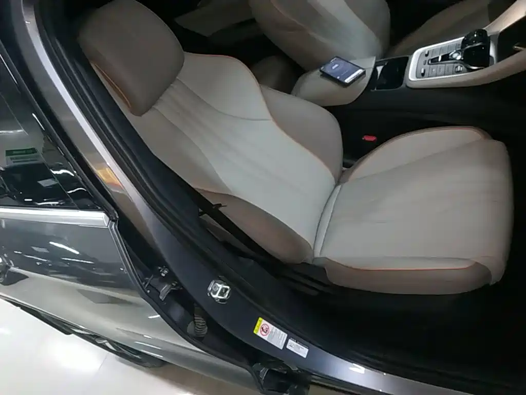 BYD Pro New Energy 2024 — фото 25