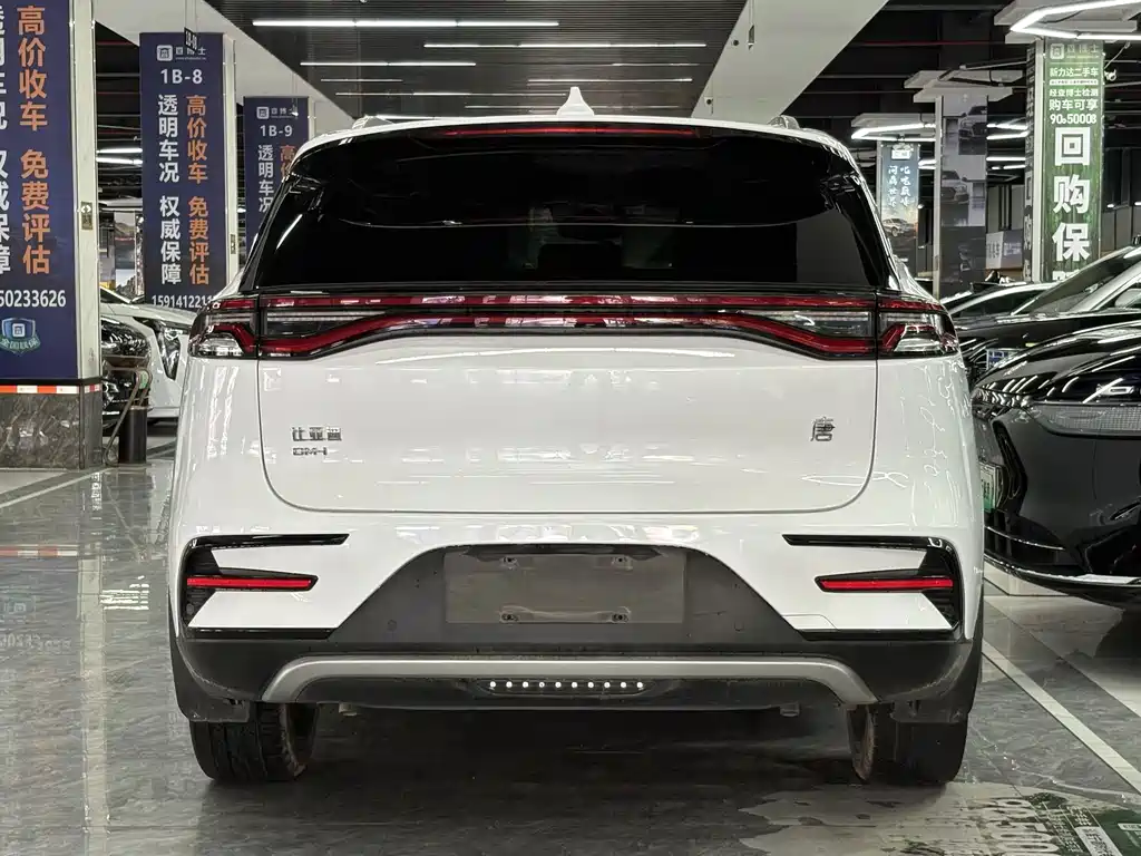 BYD Tang New Energy 2022 — фото 14