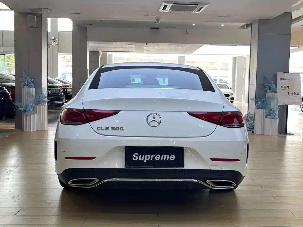 Mercedes-Benz CLS 2020 — фото 11