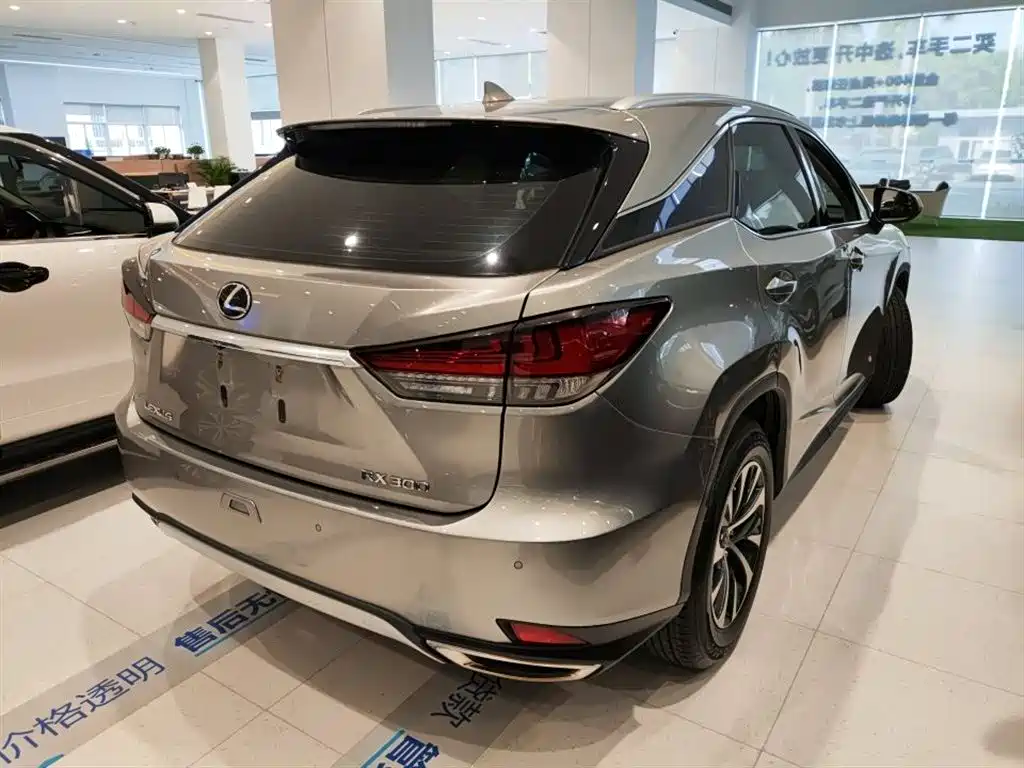 Lexus RX 2019 — фото 13