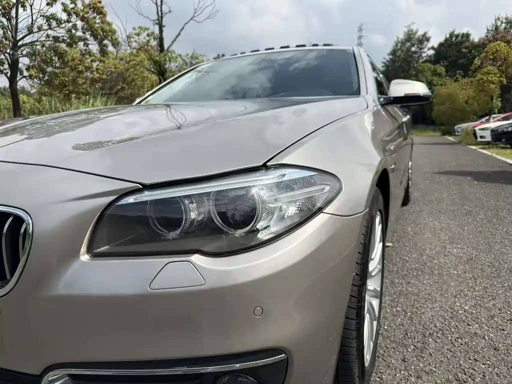 BMW 5 Series 2016 — фото 11