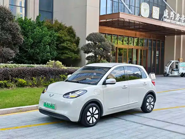 Wuling Bingo 2025