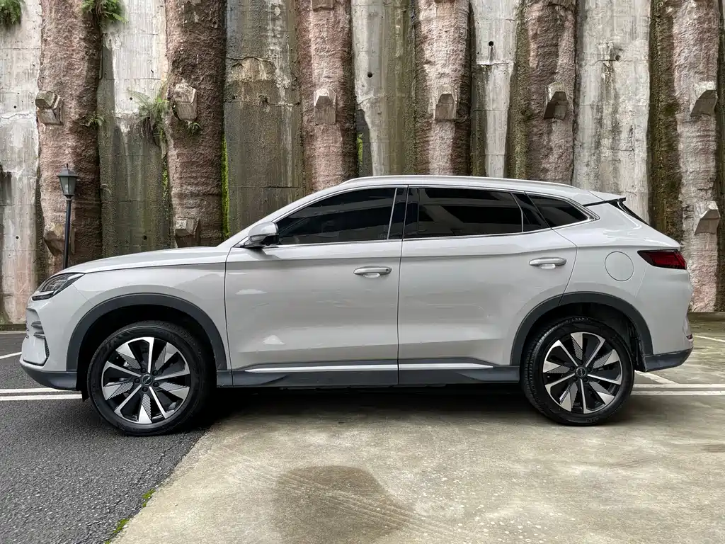 BYD PLUS New Energy 2025 — фото 4